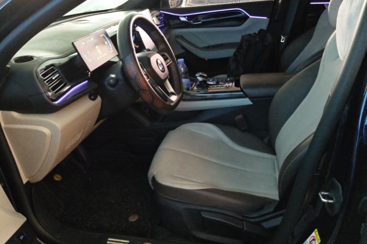 Used BYD Qin PLUS 2023 Champion Edition DM-i 55KM Leading Model Left Front Seat
