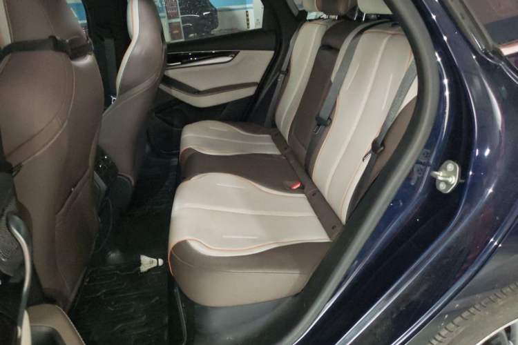 Used BYD Qin PLUS 2023 Champion Edition DM-i 120KM Leading Model Left Rear Seat