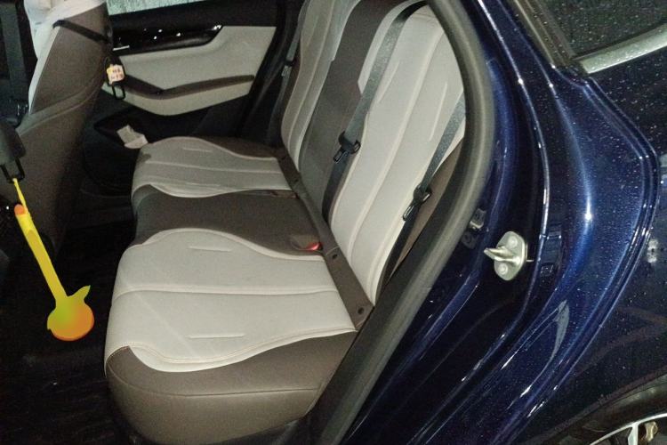 Used BYD Qin PLUS 2023 Champion Edition DM-i 55KM Leading Model Left Rear Seat