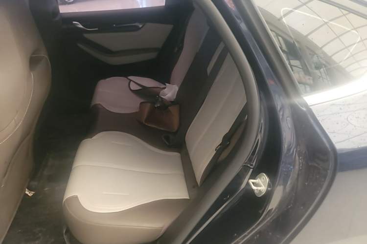 Used BYD Qin PLUS 2023 Champion Edition DM-i 55KM Leading Model Left Rear Seat