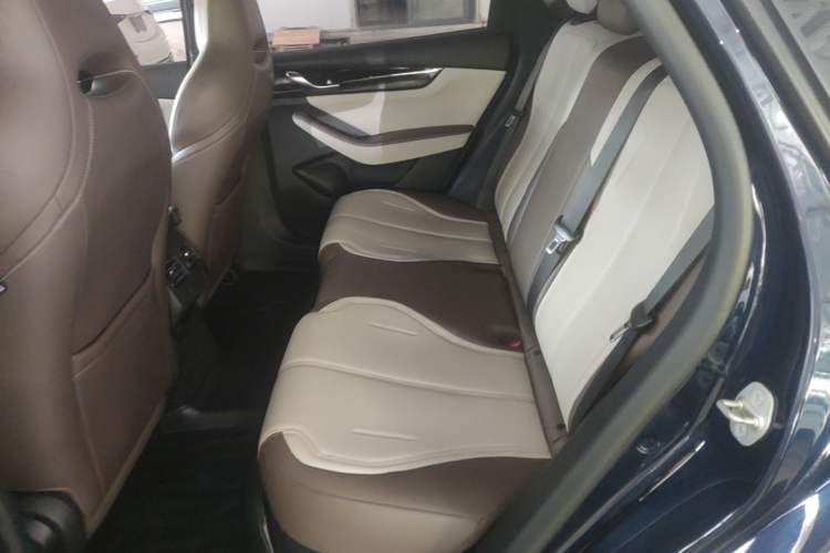 Used BYD Qin PLUS 2023 Champion Edition DM-i 55KM Leading Model Left Rear Seat