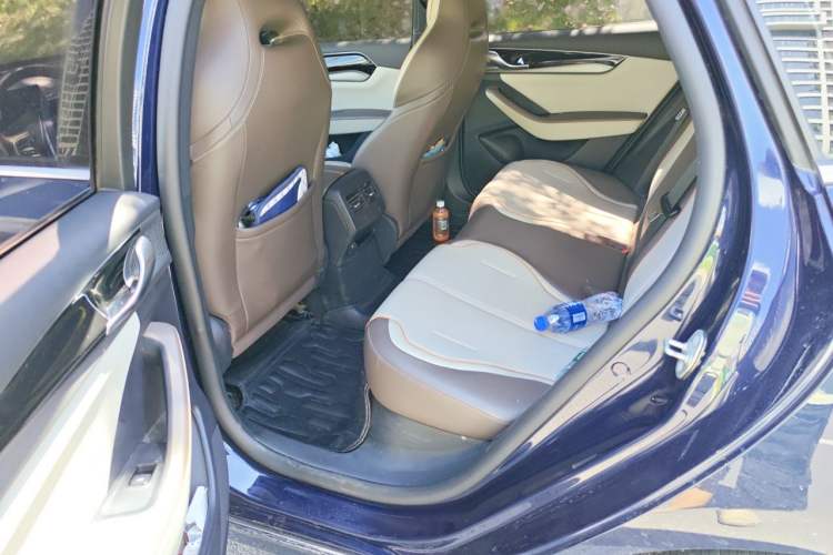 Used BYD Qin PLUS 2023 Champion Edition DM-i 120KM Leading Model Left Rear Seat