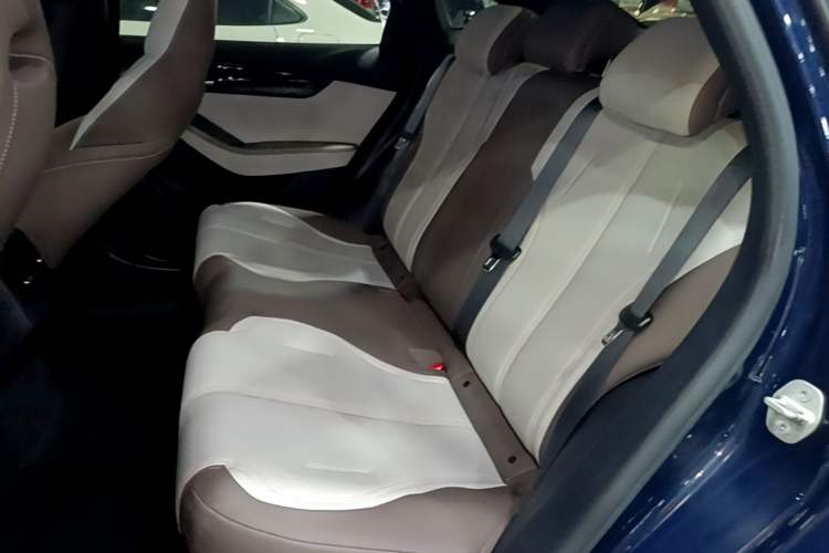Used BYD Qin PLUS 2023 Champion Edition DM-i 55KM Leading Model Left Rear Seat