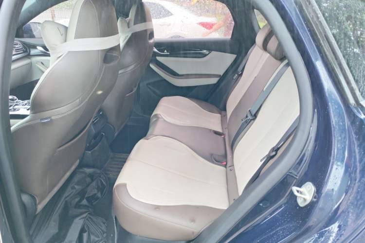 Used BYD Qin PLUS 2023 Champion Edition DM-i 55KM Leading Model Left Rear Seat