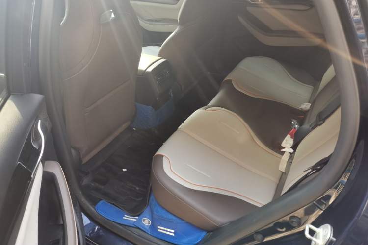 Used BYD Qin PLUS 2023 Champion Edition DM-i 120KM Leading Model Left Rear Seat