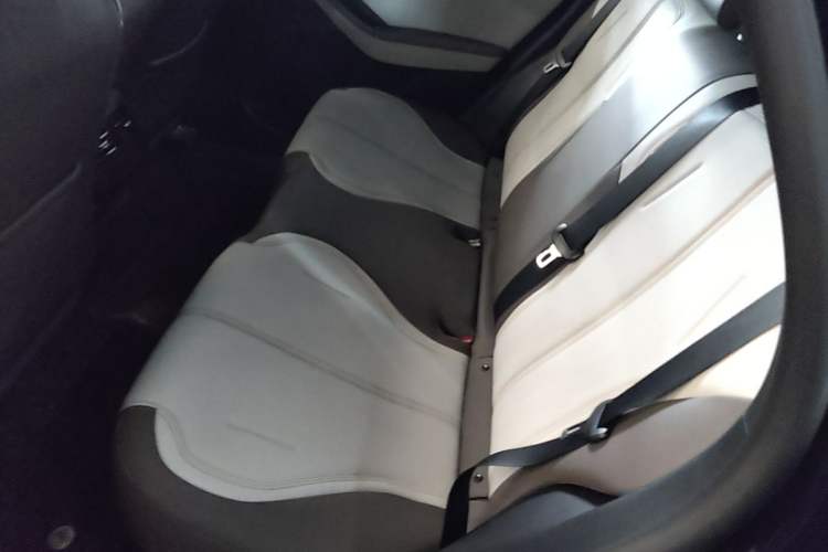 Used BYD Qin PLUS 2023 Champion Edition DM-i 55KM Leading Model Left Rear Seat
