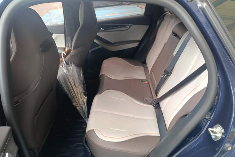 Used BYD Qin PLUS 2023 Champion Edition DM-i 120KM Leading Model Left Rear Seat