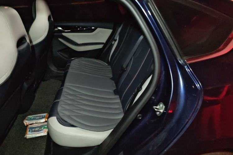 Used BYD Qin PLUS 2023 Champion Edition DM-i 55KM Leading Model Left Rear Seat