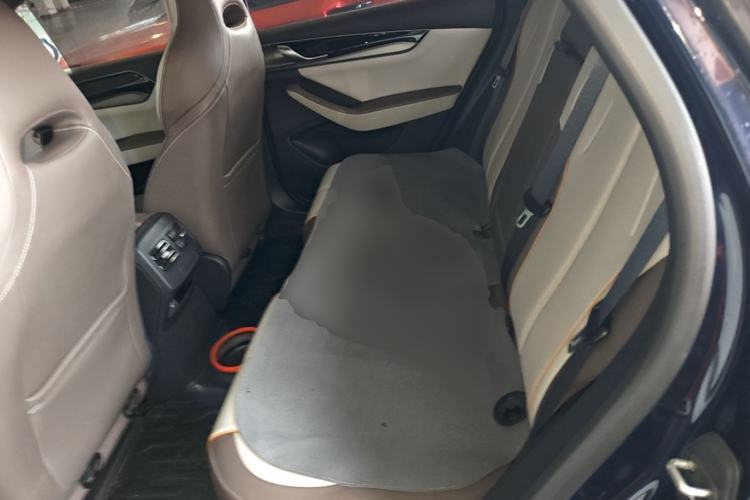 Used BYD Qin PLUS 2023 Champion Edition DM-i 120KM Leading Model Left Rear Seat