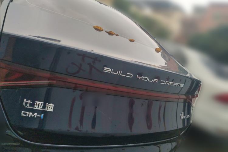 Used BYD Qin PLUS 2023 Champion Edition DM-i 120KM Leading Model Rear