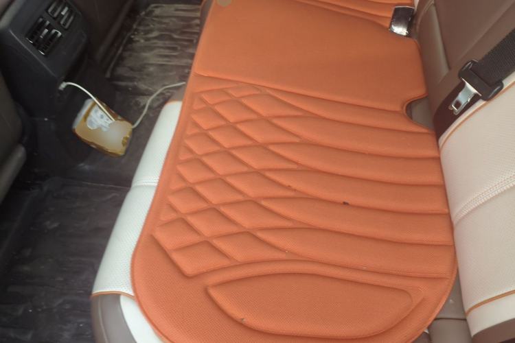 Used BYD Qin PLUS 2023 Champion Edition EV 510KM Excellence Model Left Rear Seat