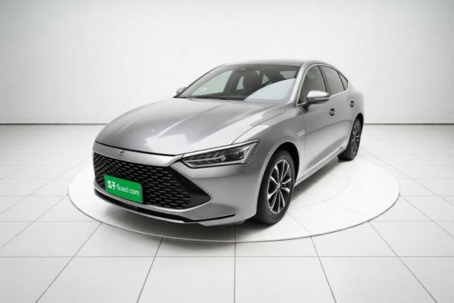 BYD Qin PLUS 2023 Champion Edition DM-i 55KM Leading Model usado