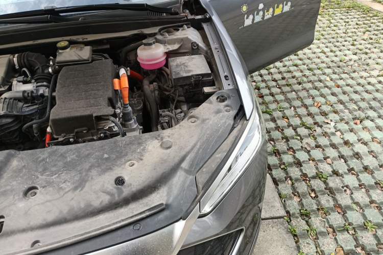 Used BYD Qin PLUS 2023 Champion Edition DM-i 55KM Leading Model Engine Bay Left