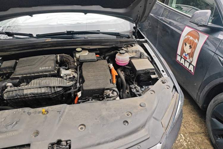 Used BYD Qin PLUS 2023 Champion Edition DM-i 55KM Leading Model Engine Bay Left