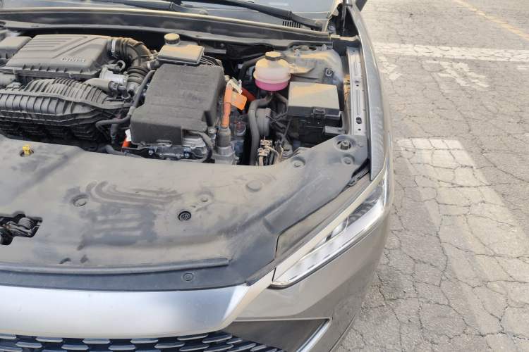 Used BYD Qin PLUS 2023 Champion Edition DM-i 55KM Leading Model Engine Bay Left