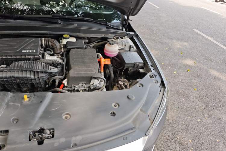 Used BYD Qin PLUS 2023 Champion Edition DM-i 55KM Leading Model Engine Bay Left