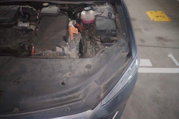 Used BYD Qin PLUS 2023 Champion Edition DM-i 55KM Superior Model Engine Bay Left
