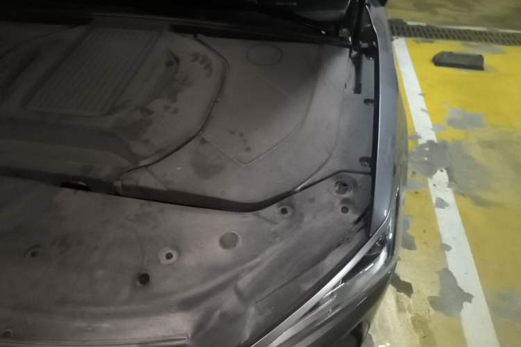 Used BYD Qin PLUS 2023 Champion Edition EV 510KM Beyond Model Engine Bay Left