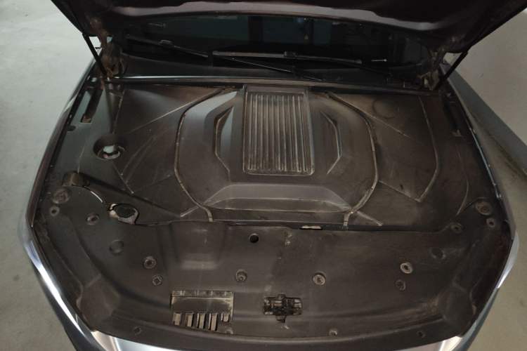 Used BYD Qin PLUS 2023 Champion Edition EV 510KM Leading Model Engine Bay