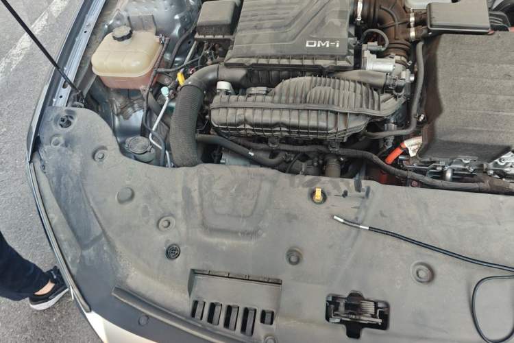 Used BYD Qin PLUS 2023 Champion Edition DM-i 55KM Leading Model Engine Bay Right