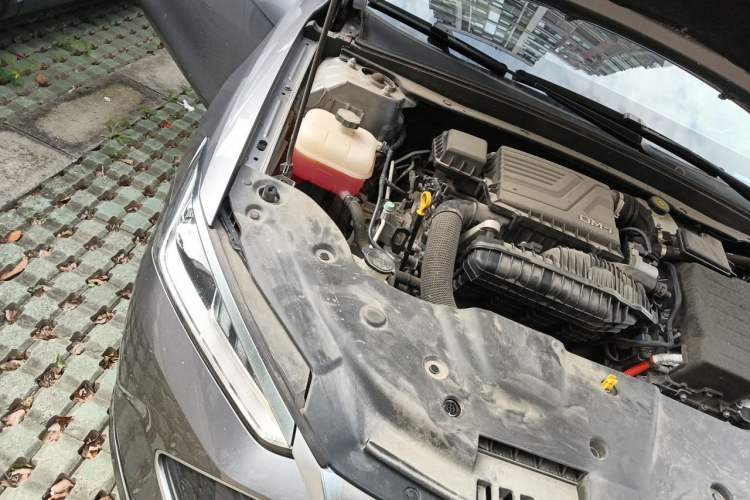 Used BYD Qin PLUS 2023 Champion Edition DM-i 55KM Leading Model Engine Bay Right