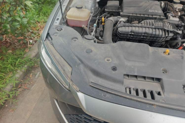 Used BYD Qin PLUS 2023 Champion Edition DM-i 55KM Leading Model Engine Bay Right
