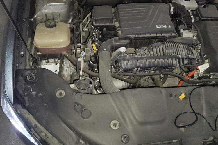Used BYD Qin PLUS 2023 Champion Edition DM-i 55KM Leading Model Engine Bay Right