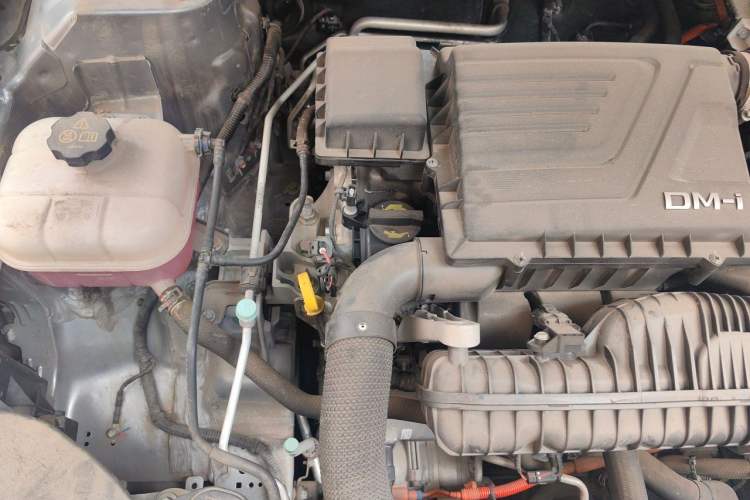 Used BYD Qin PLUS 2023 Champion Edition DM-i 55KM Leading Model Engine Bay Right
