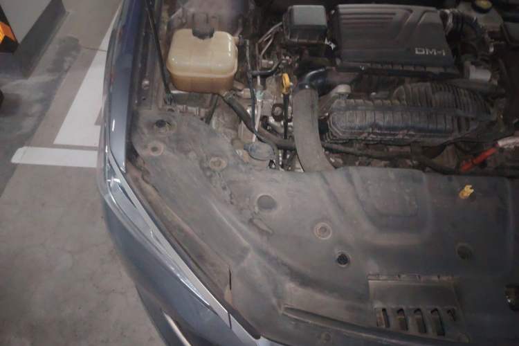 Used BYD Qin PLUS 2023 Champion Edition DM-i 55KM Superior Model Engine Bay Right