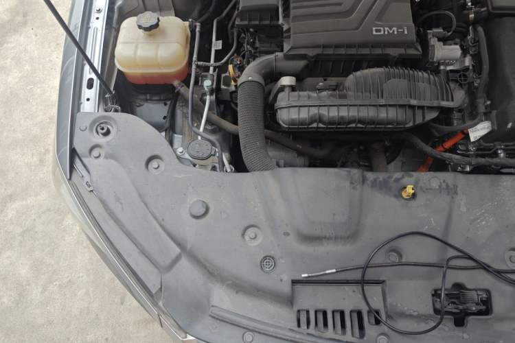 Used BYD Qin PLUS 2023 Champion Edition DM-i 55KM Leading Model Engine Bay Right
