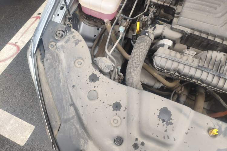 Used BYD Qin PLUS 2023 Champion Edition DM-i 120KM Leading Model Engine Bay Right