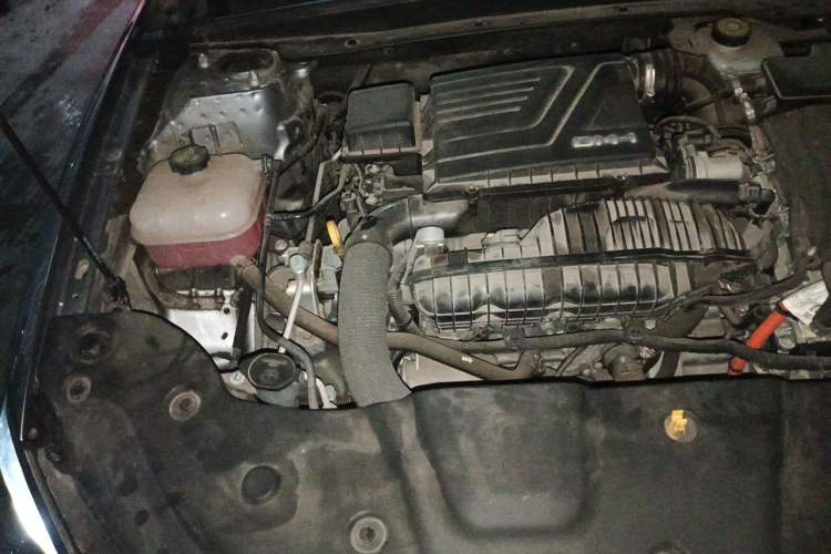 Used BYD Qin PLUS 2023 Champion Edition DM-i 120KM Leading Model Engine Bay Right