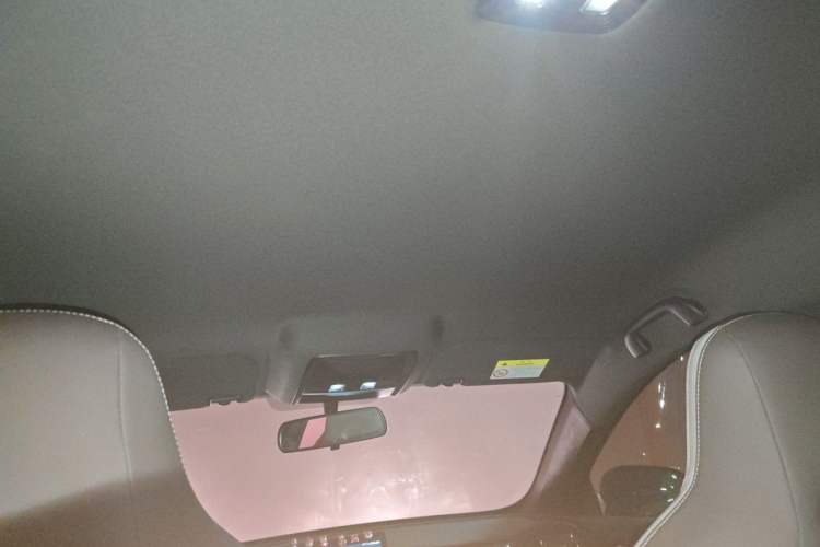 Used BYD Qin PLUS 2023 Champion Edition DM-i 55KM Leading Model Headliner