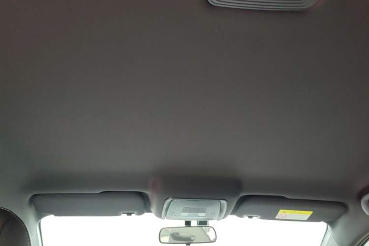 Used BYD Qin PLUS 2023 Champion Edition DM-i 55KM Leading Model Headliner