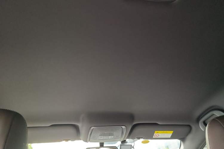 Used BYD Qin PLUS 2023 Champion Edition DM-i 55KM Leading Model Headliner