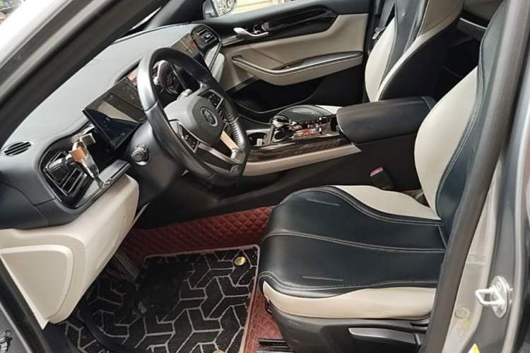 Used BYD Qin PLUS 2023 Champion Edition DM-i 55KM Leading Model Left Front Seat