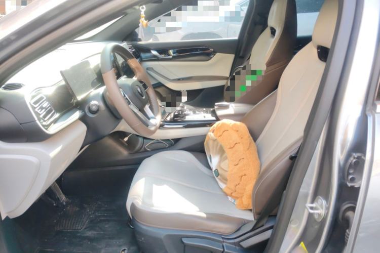 Used BYD Qin PLUS 2023 Champion Edition DM-i 55KM Leading Model Left Front Seat