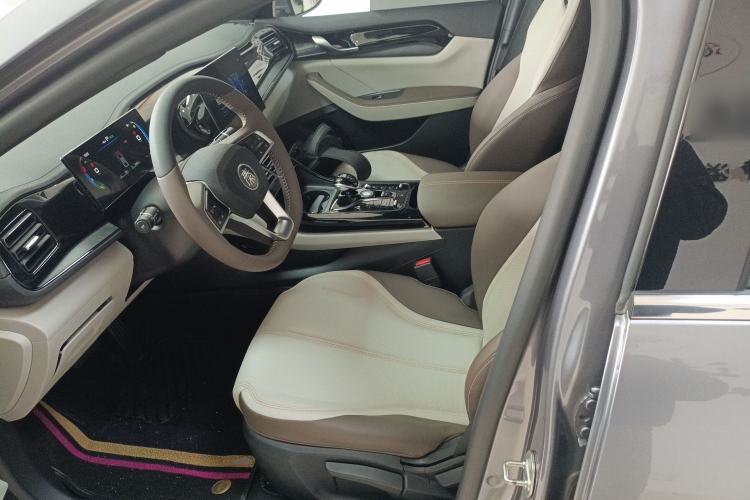 Used BYD Qin PLUS 2023 Champion Edition DM-i 55KM Leading Model Left Front Seat