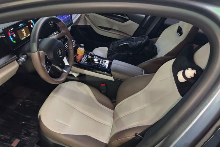 Used BYD Qin PLUS 2023 Champion Edition DM-i 55KM Leading Model Left Front Seat