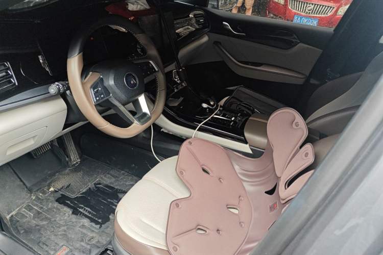 Used BYD Qin PLUS 2023 Champion Edition DM-i 55KM Leading Model Left Front Seat