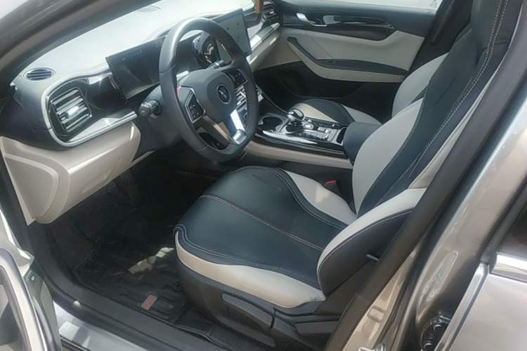 Used BYD Qin PLUS 2023 Champion Edition DM-i 55KM Leading Model Left Front Seat