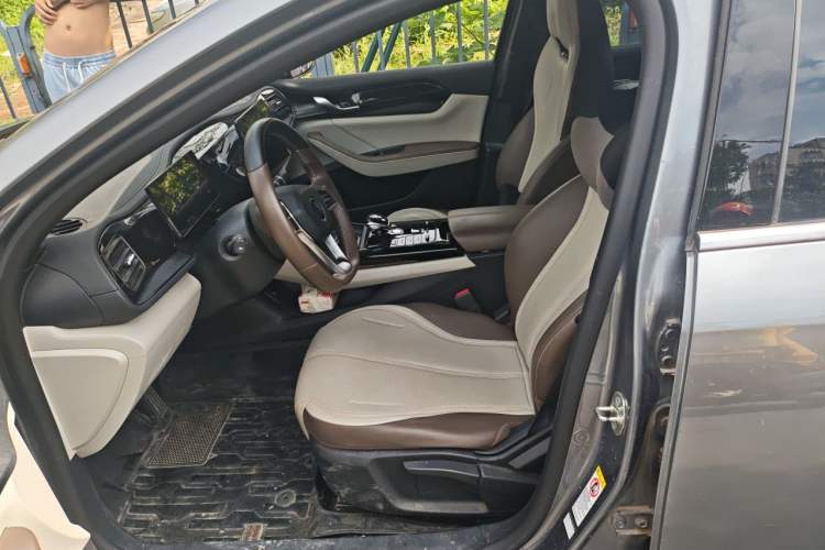 Used BYD Qin PLUS 2023 Champion Edition DM-i 55KM Leading Model Left Front Seat