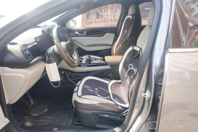 Used BYD Qin PLUS 2023 Champion Edition DM-i 55KM Leading Model Left Front Seat