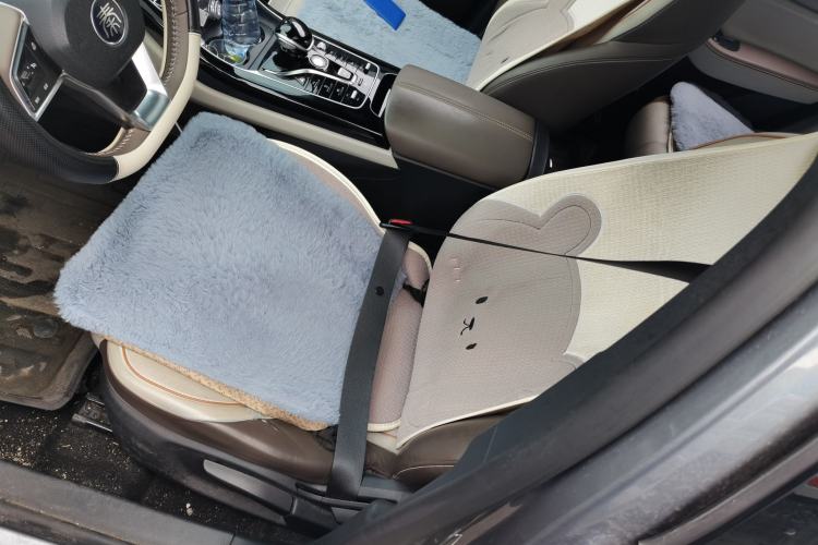 Used BYD Qin PLUS 2023 Champion Edition DM-i 120KM Leading Model Left Front Seat