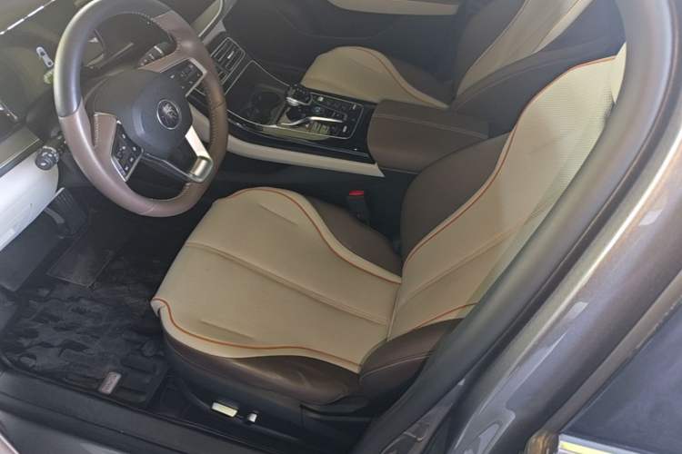 Used BYD Qin PLUS 2023 Champion Edition DM-i 55KM Superior Model Left Front Seat