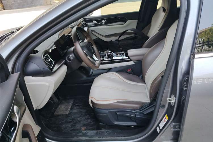 Used BYD Qin PLUS 2023 Champion Edition DM-i 120KM Leading Model Left Front Seat