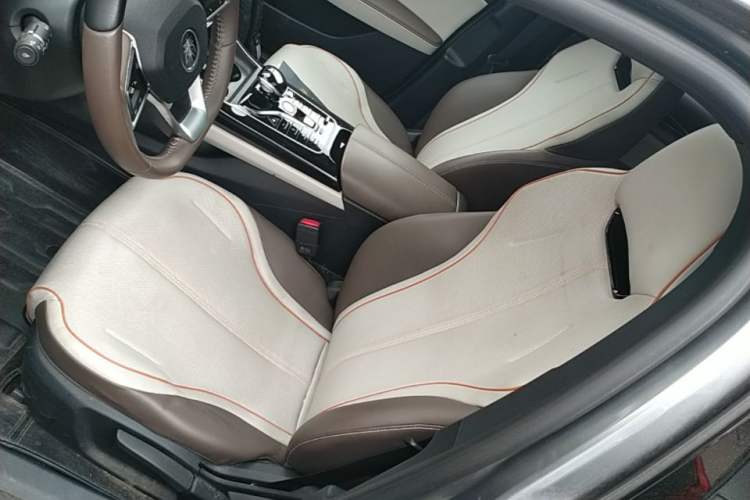 Used BYD Qin PLUS 2023 Champion Edition DM-i 120KM Leading Model Left Front Seat