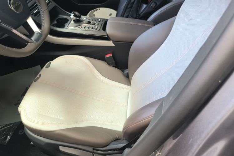 Used BYD Qin PLUS 2023 Champion Edition DM-i 55KM Leading Model Left Front Seat