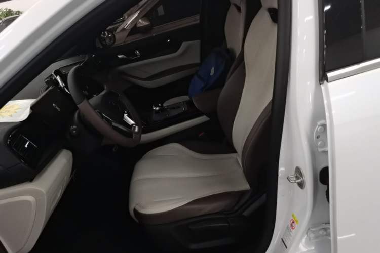 Used BYD Qin PLUS 2023 Champion Edition DM-i 55KM Leading Model Left Front Seat