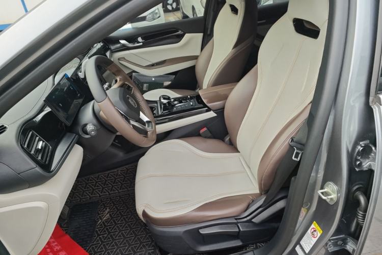 Used BYD Qin PLUS 2023 Champion Edition DM-i 55KM Leading Model Left Front Seat